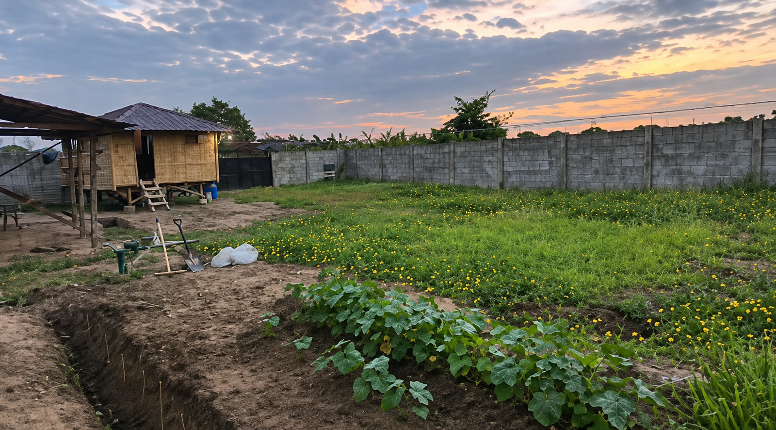 Expat Express Farm gardens and bamboo cottage at sunset